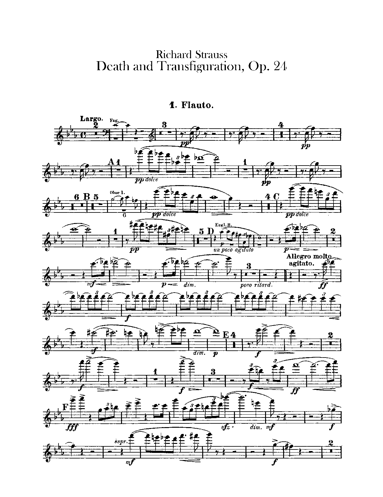 File:PMLP12213-StraussR-Op24.Flute.pdf