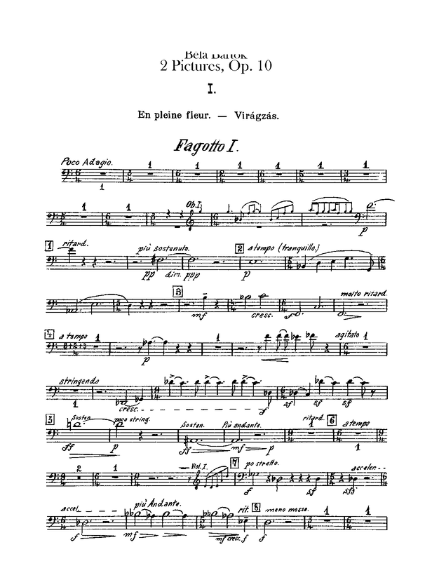 File:PMLP46185-Bartok 2Pictures Bsns.pdf