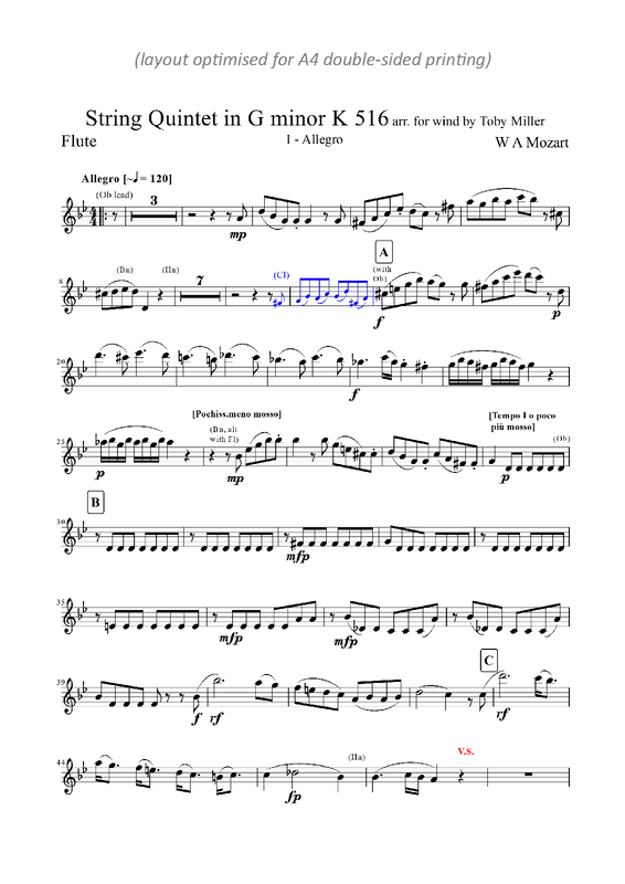 File:PMLP05422-Mozart String Quintet in G minor K516 mvts i ii iv arr for wind - Flute.pdf