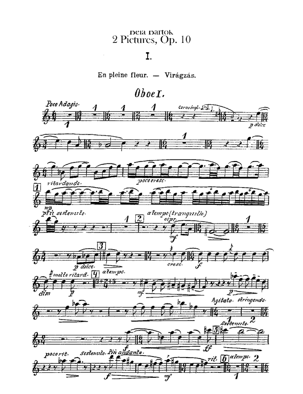 File:PMLP46185-Bartok 2Pictures Obs.pdf