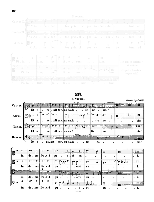 Et erexit cornu salutis nobis