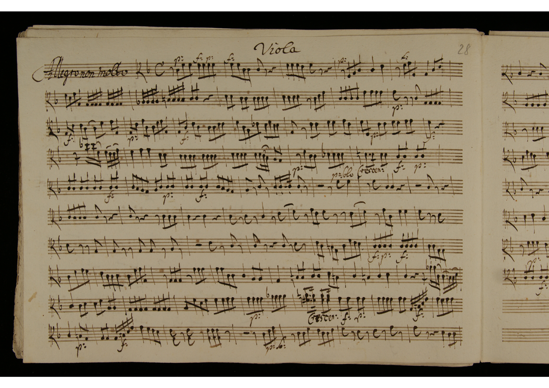 File:PMLP987062-8 Viola.pdf