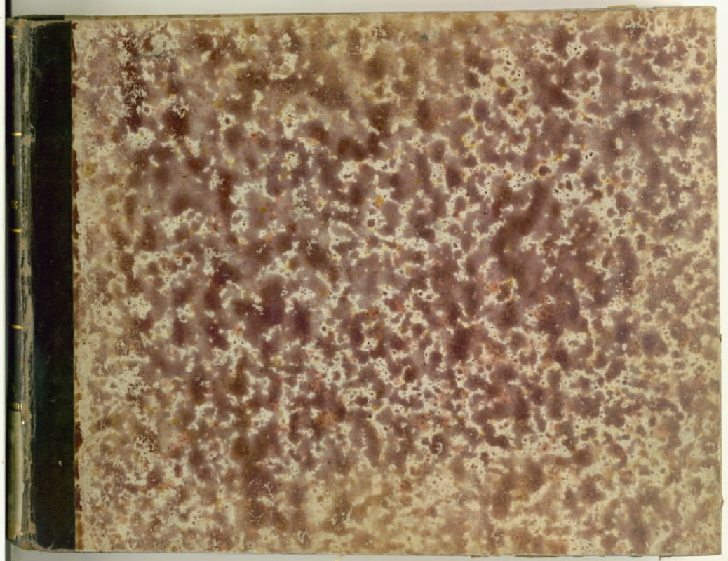 File:PMLP778262--Rari 1.3.16- I finti nobili.pdf