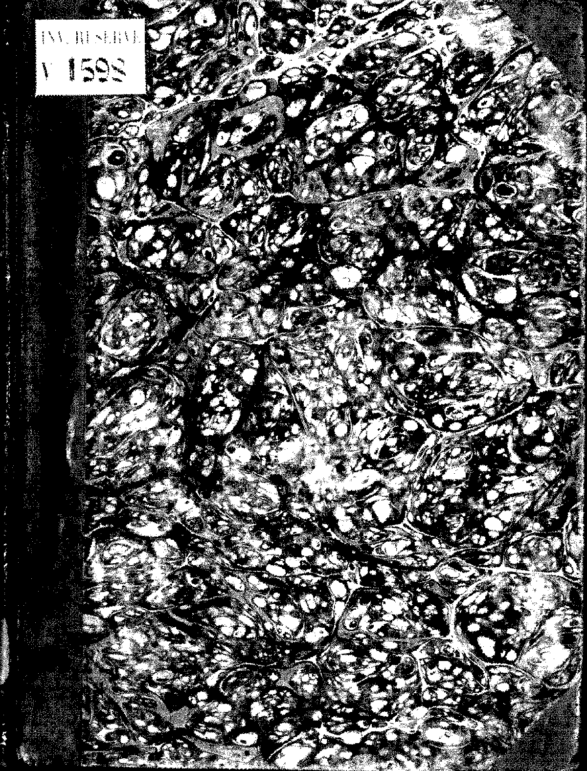 File:PMLP217147-vicente lusitano5.pdf