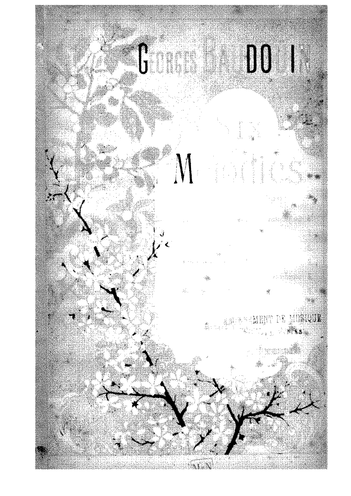 File:PMLP542492-39087032502264Baudouincolor cover.pdf