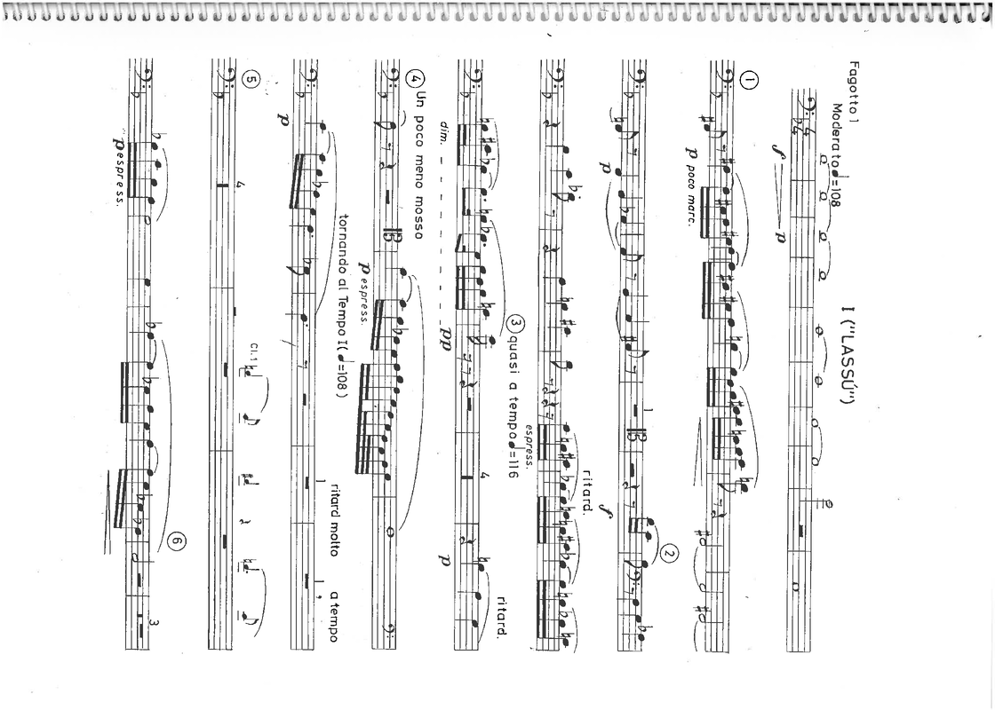 File:PMLP87663-Bartok - Rhapsody no 2 - fagot 1.pdf