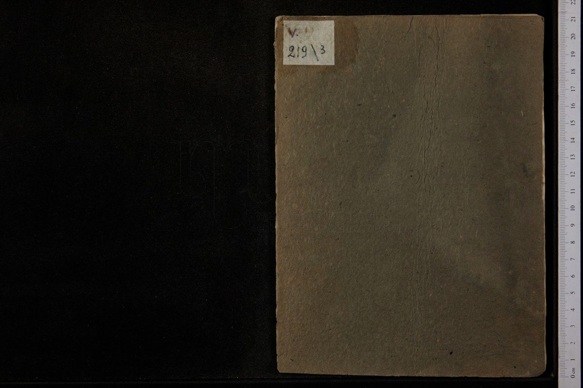 File:PMLP238078-03-tenore.pdf