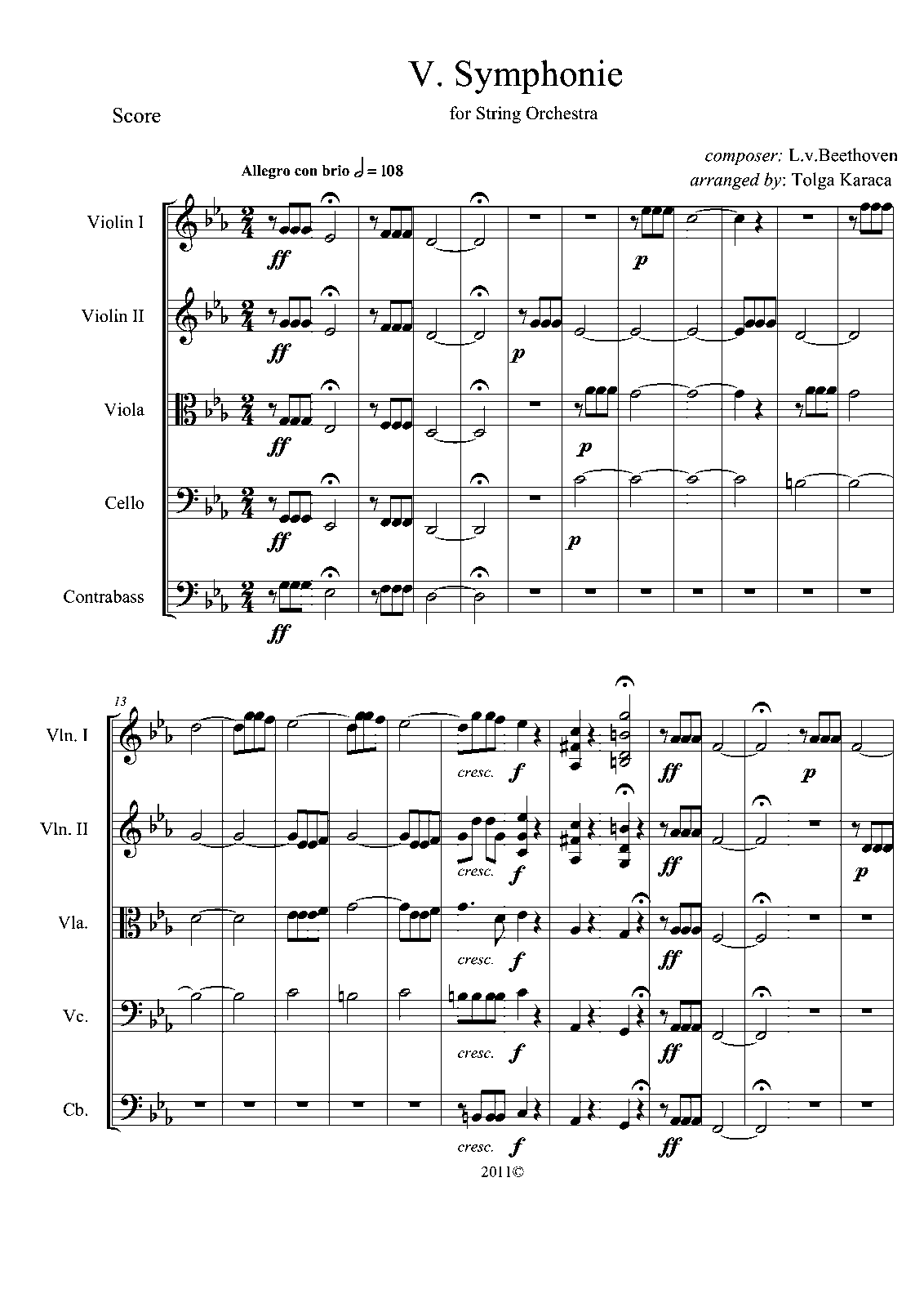 Symphony No. 5, 1st Movement Sheet music for Flute ...