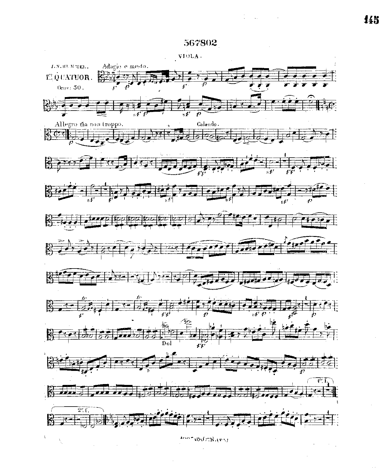 File:SIBLEY1802.27357.0f9f-39087009417223 viola.pdf
