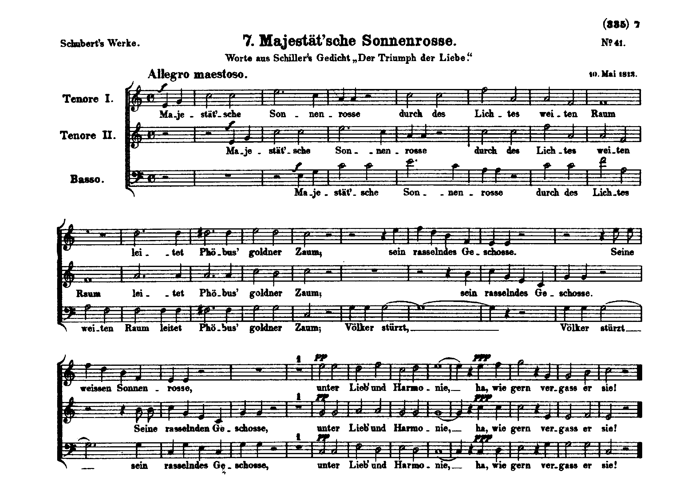 Majestätsche Sonnenrosse