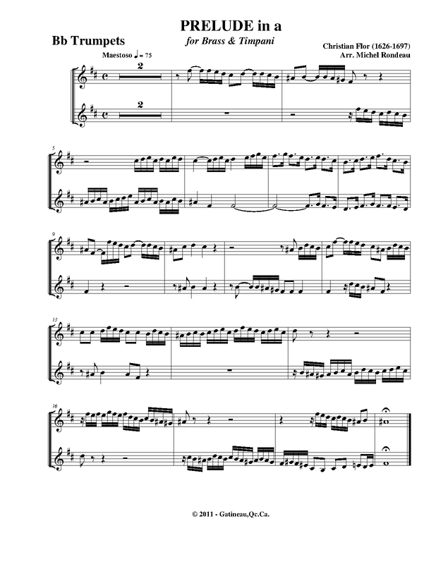 File:PMLP333300-FloMaesBbtrps.pdf