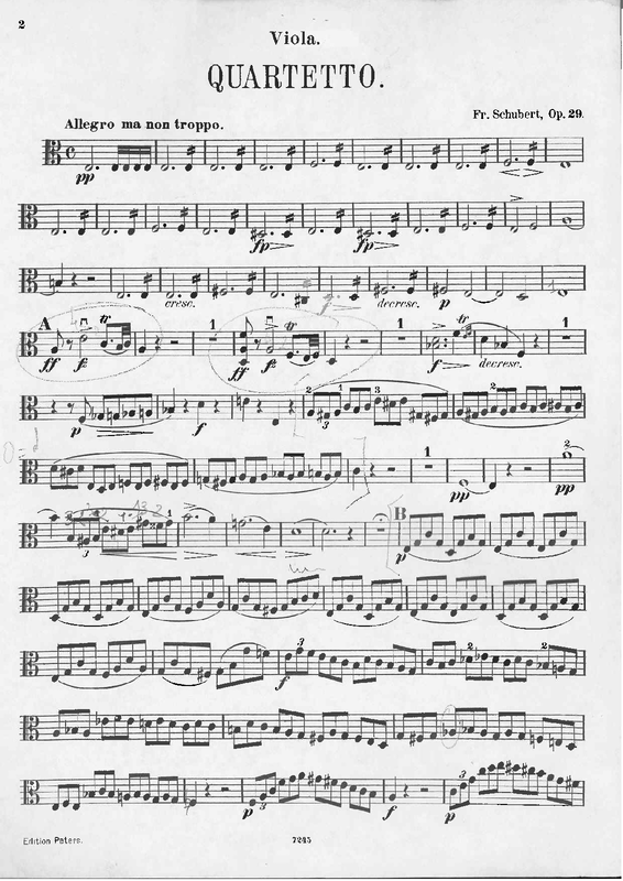 File:PMLP09901-Schubert-D804vapeters.pdf