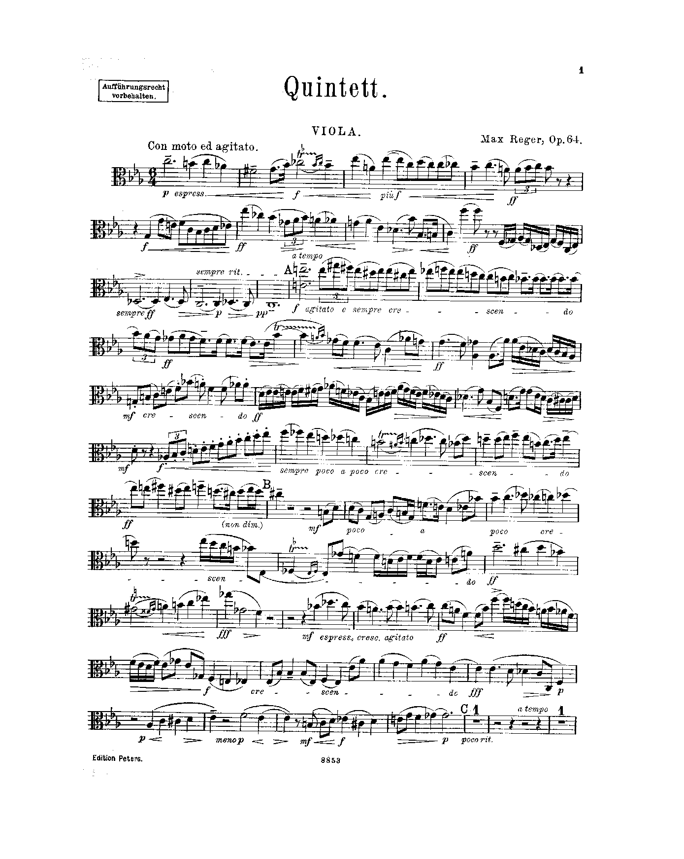 File:SIBLEY1802.20911.7308-39087009089139viola.pdf
