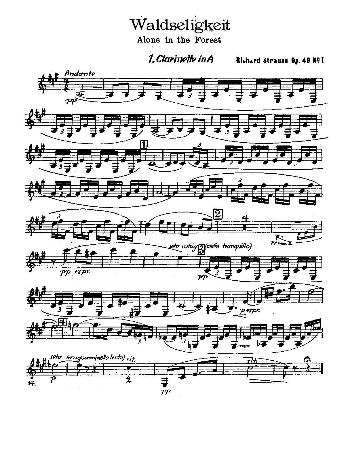 File:PMLP93975-Strauss Waldseligkeit Op.49 No.1 - Clarinet 1-2, Bass Clarinet (A).pdf