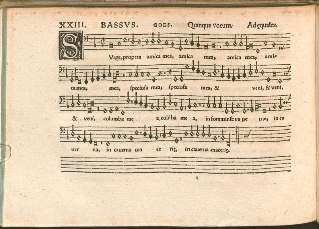 File:PMLP584004-goes surge propera amica mea bassus.pdf