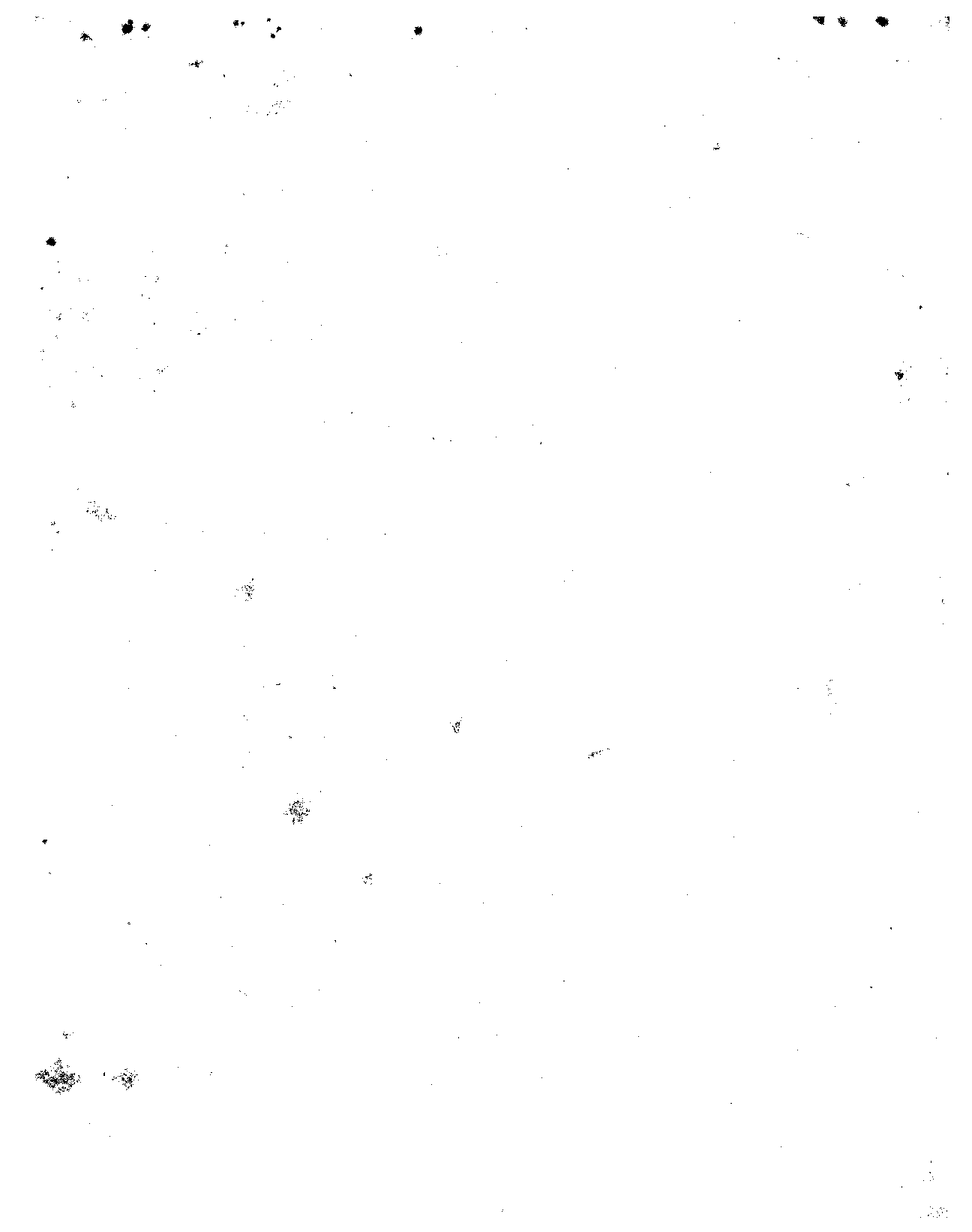 File:SIBLEY1802.15044.0897-M412 M537 op 2 1842 viola.pdf