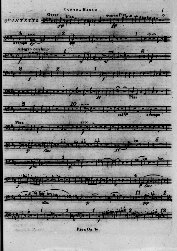 File:PMLP875961-ries quintet74 bass.pdf