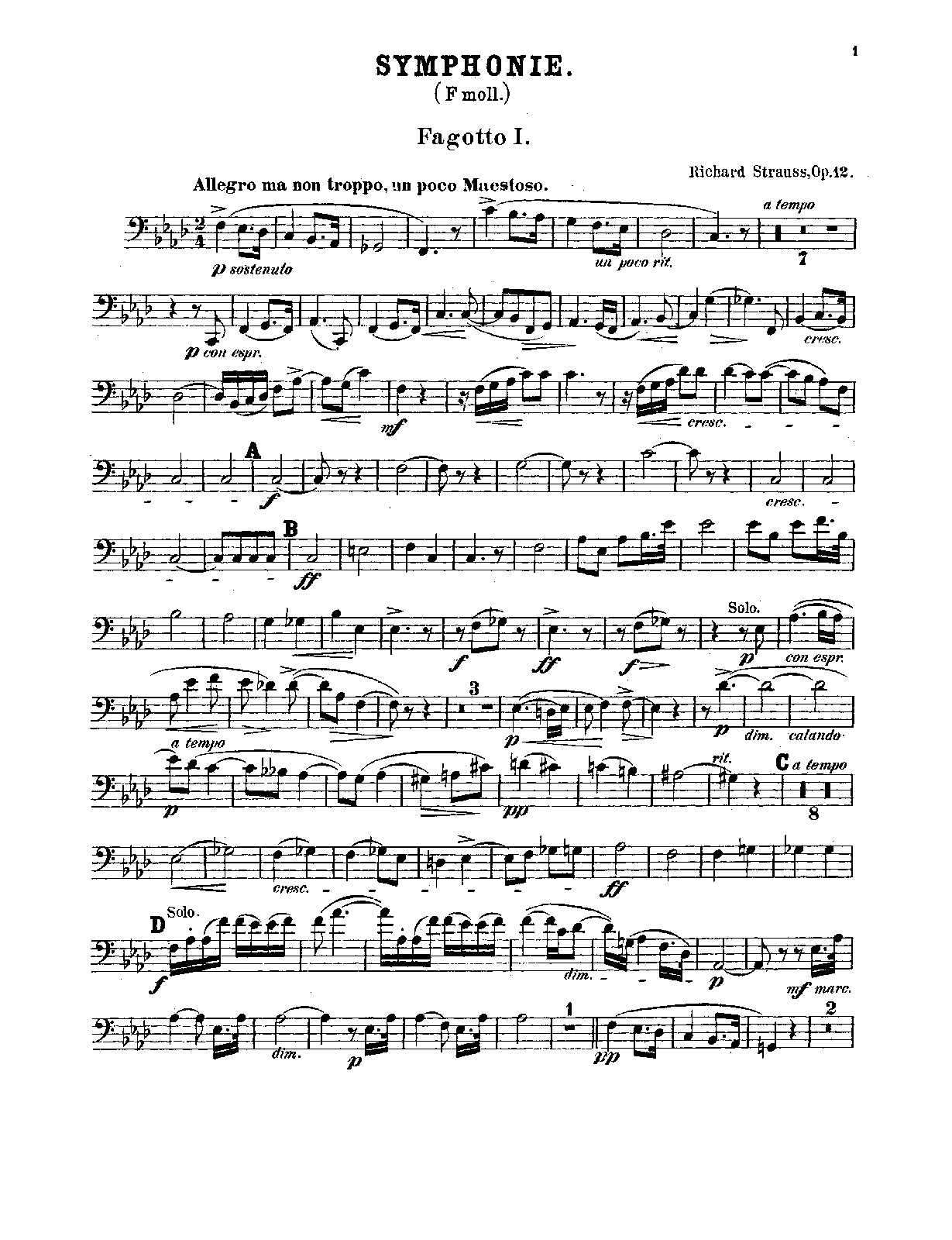 File:PMLP146975-Strauss Symphony in F minor, Op.12 Bassoons.pdf