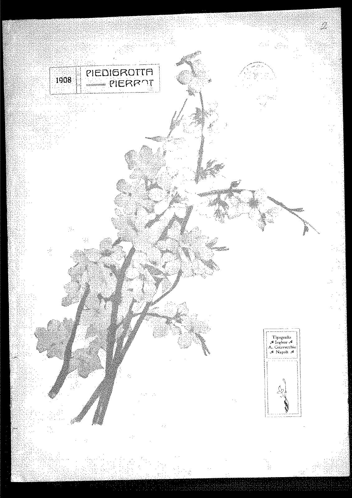 C-BYD15-1908 Examengine