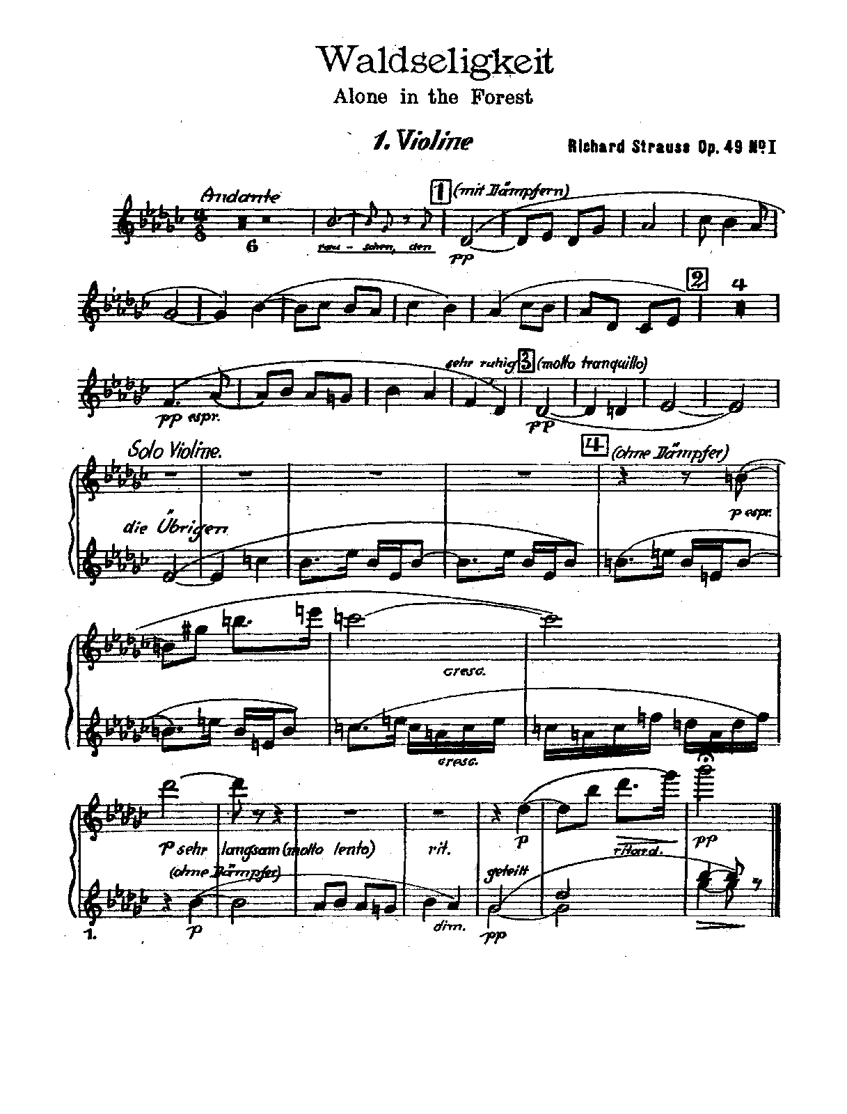 File:PMLP93975-Strauss Waldseligkeit Op.49 No.1 - Violins I.pdf