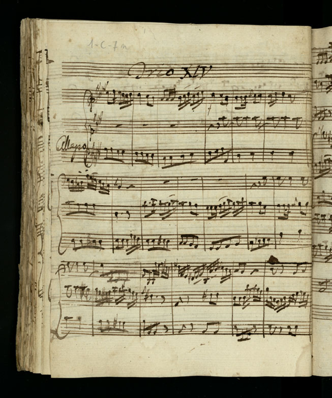 File:PMLP78170-Boccherini - Trio for 2 Violins and Cello No14 in AM - G121.pdf