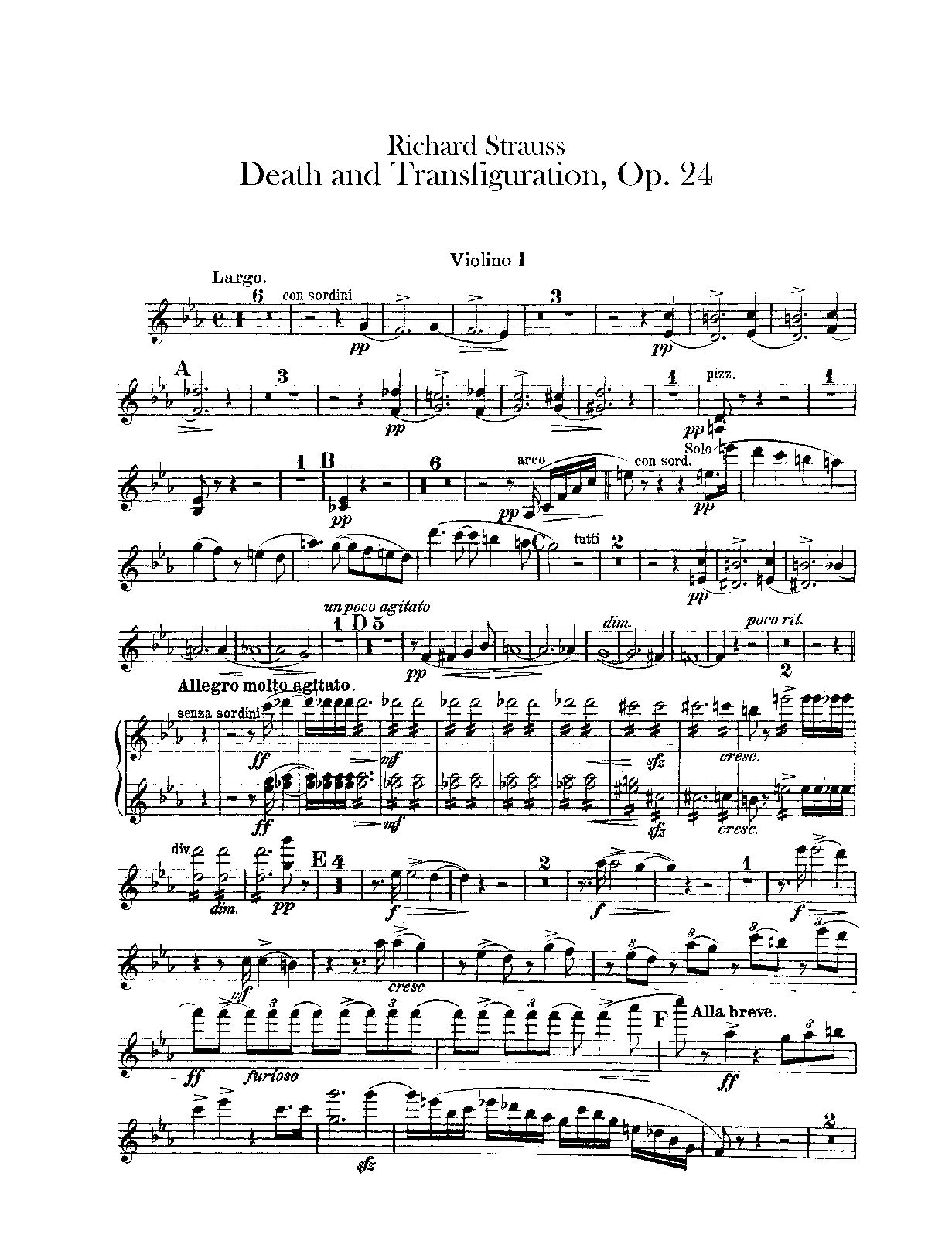 File:PMLP12213-StraussR-Op24.Violin1.pdf