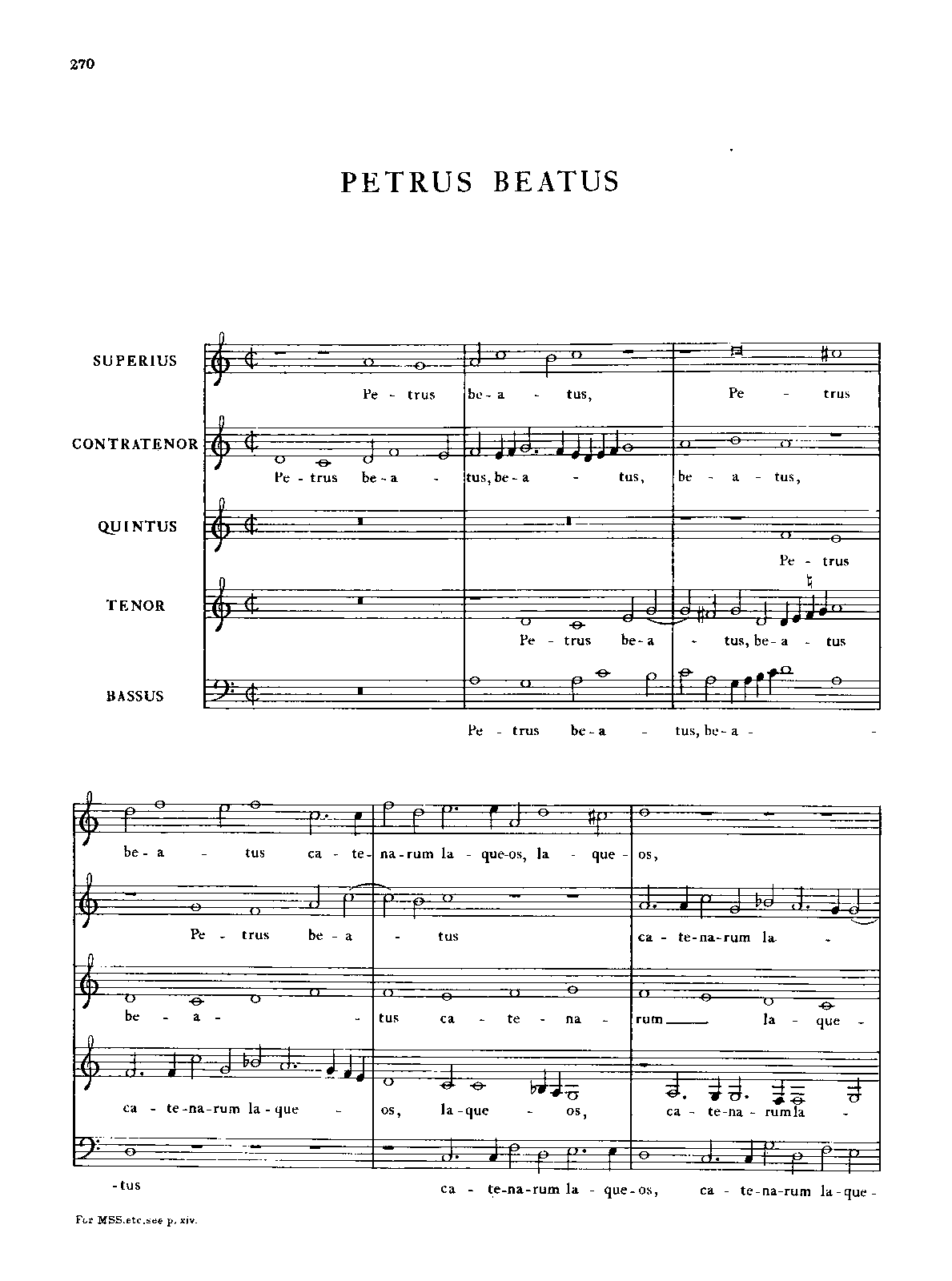 Petrus beatus