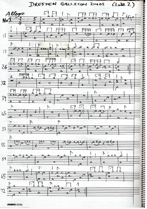 File:PMLP47560-SchiffelholzGallichon1lute2.pdf