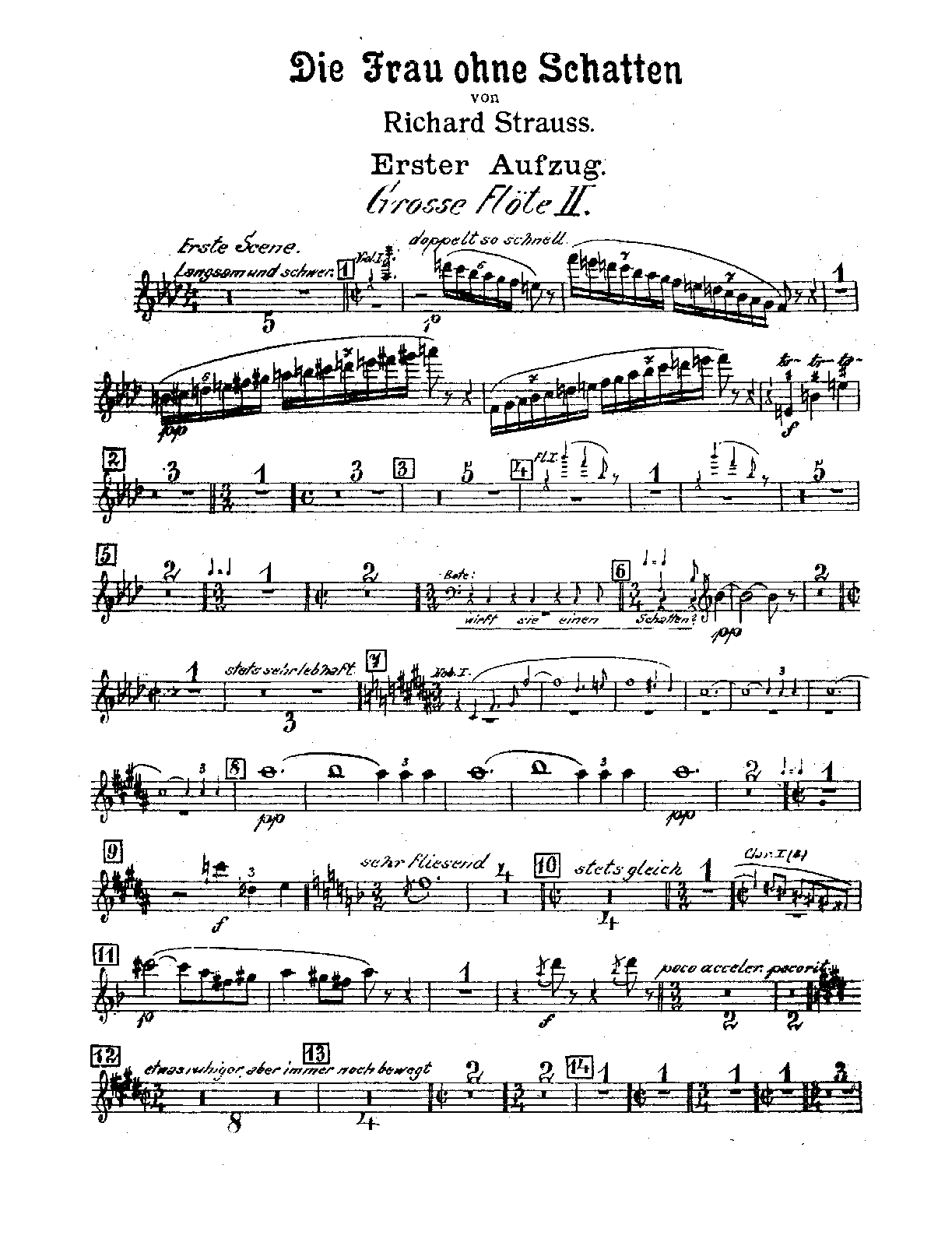 File:PMLP112606-Strauss Die Frau Ohne Schatten Op.65 Flute 2.pdf