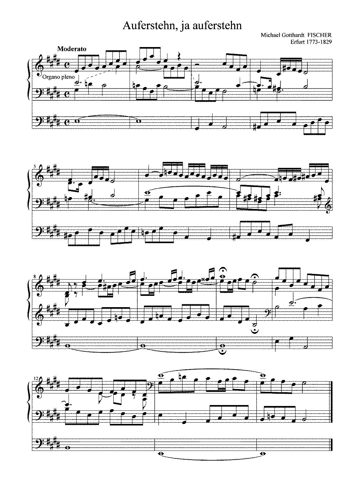 Auferstehn, ja auferstehn (Fischer, Michael Gotthard) - IMSLP