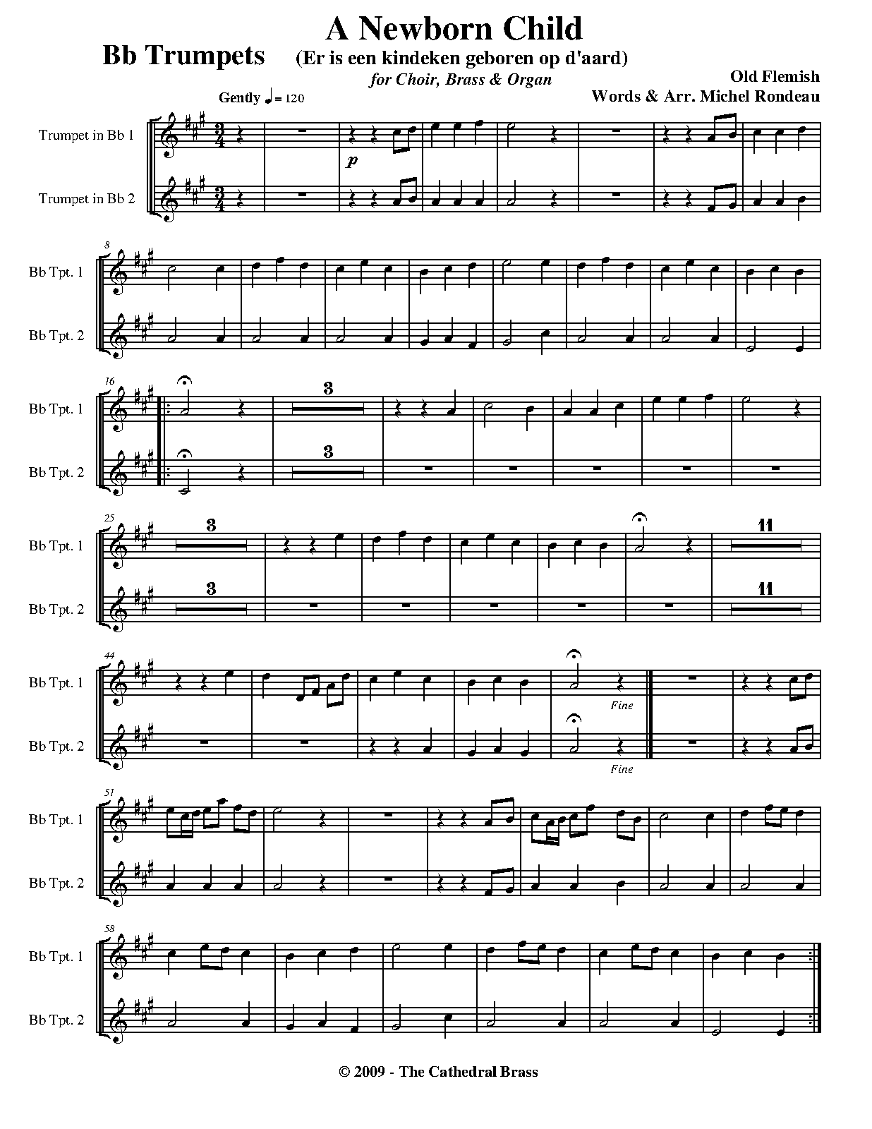 File:WIMA.5497-FlemBbTrps.pdf