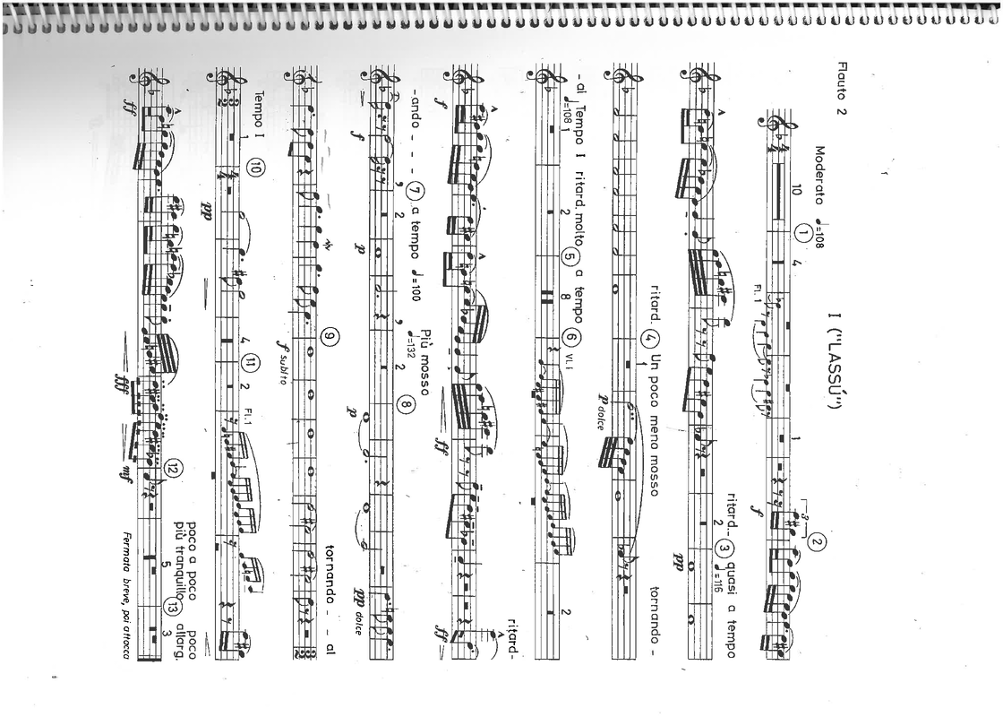 File:PMLP87663-Bartok - Rhapsody no 2 - fluit 2.pdf