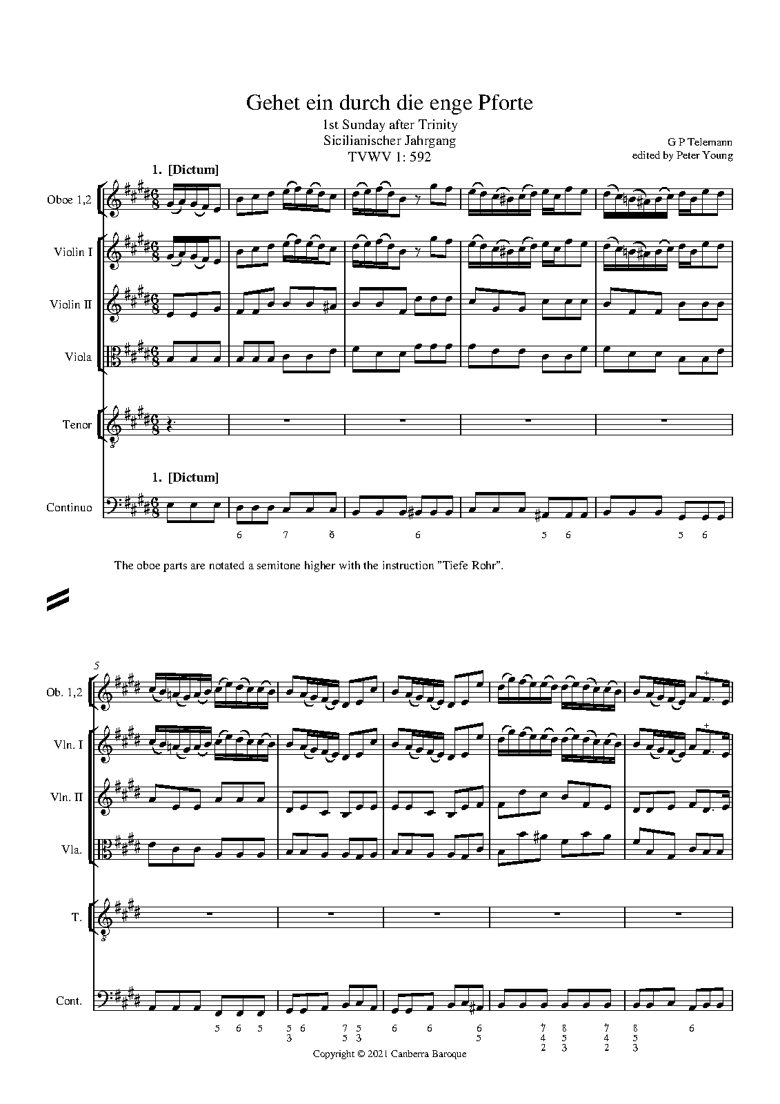 Gehet ein durch die enge Pforte, TWV 1:592