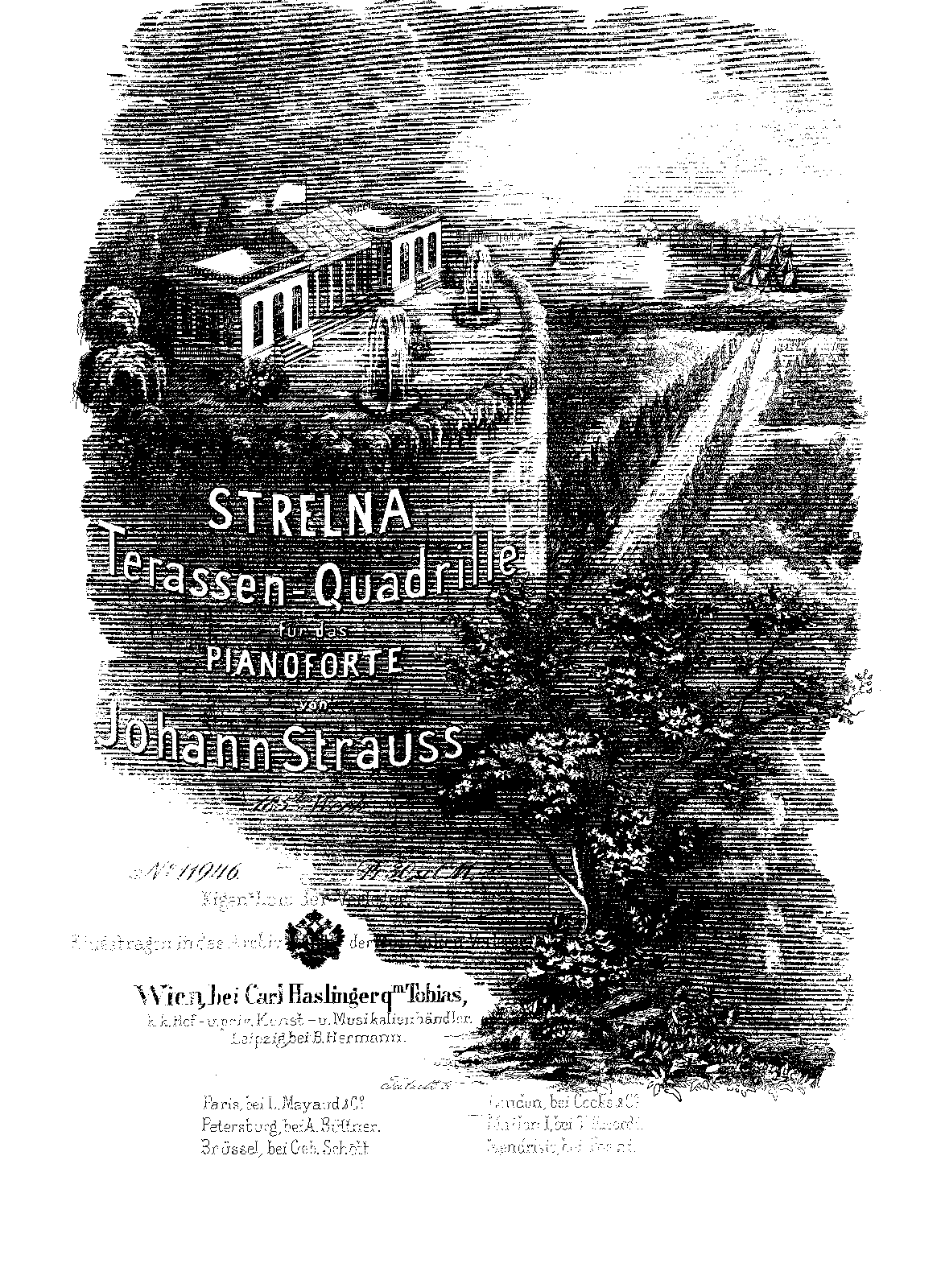Strelna-Terrassen-Quadrille