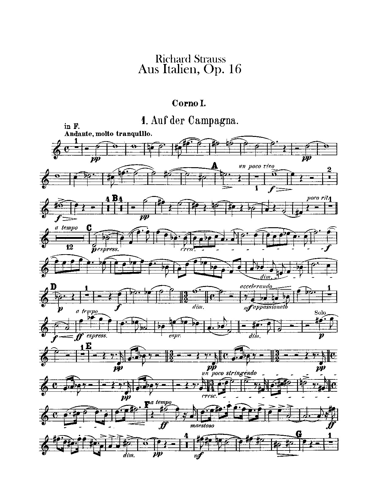 File:PMLP29321-StraussR-Op16.Horn.pdf