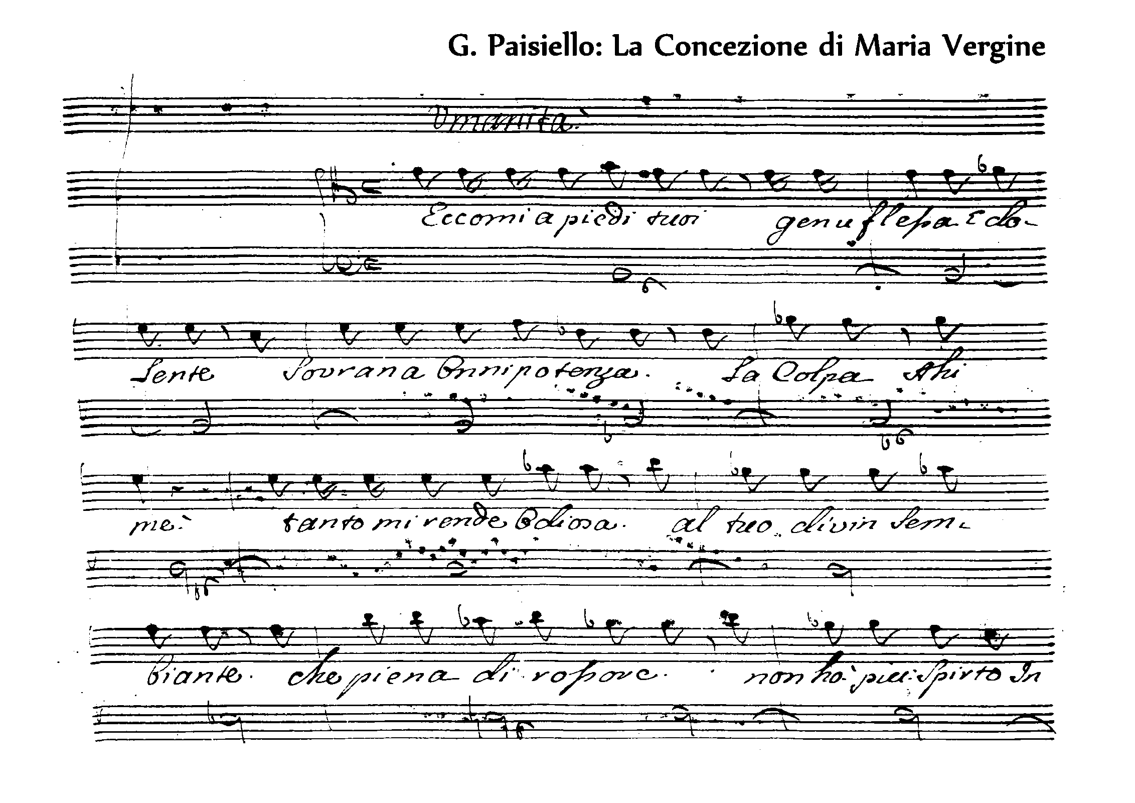 8 Settembre Nascita Di Maria Vergine