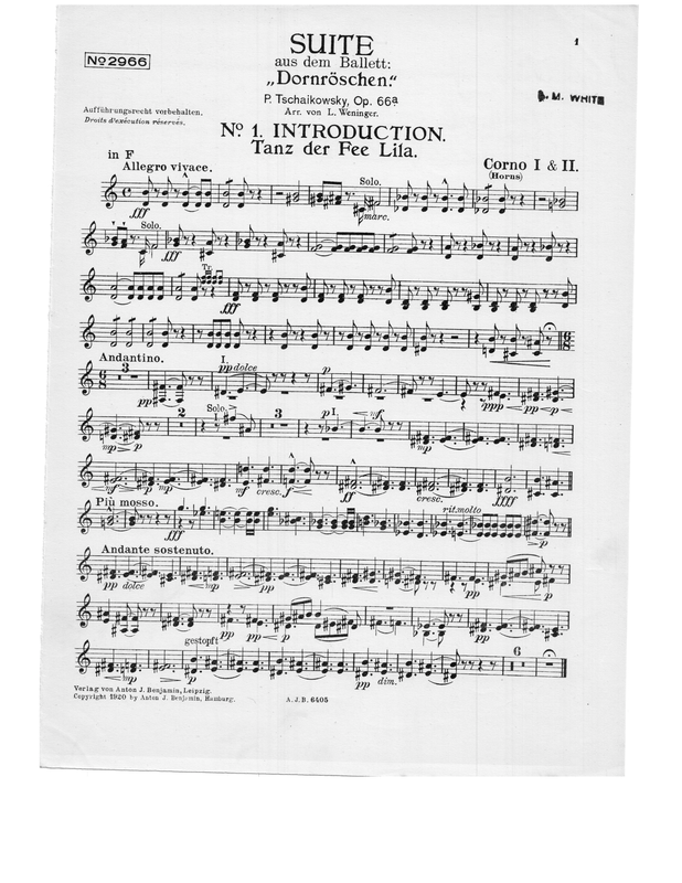 File:PMLP45537-Horns.pdf