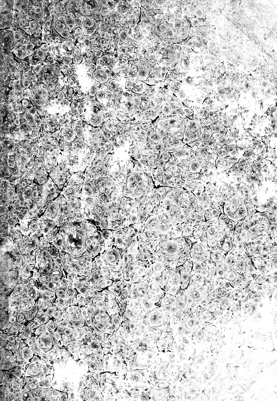 File:PMLP778215-introductionvari02dizi bw.pdf