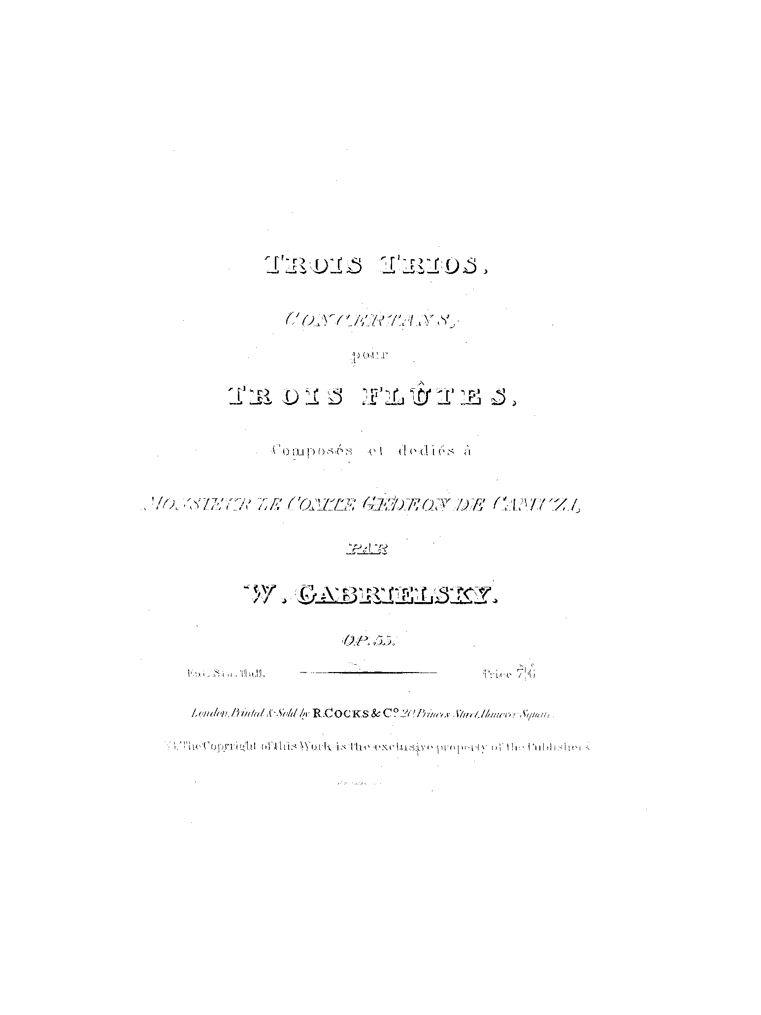 File:PMLP409918-gabrielsky op55 var M357T834Flute2.pdf