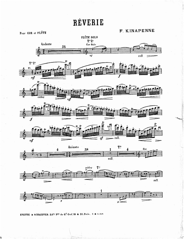 File:PMLP1084087-Kinapenne Flu-te.pdf