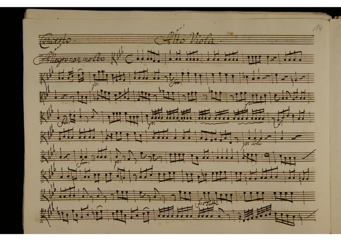 File:PMLP986970-5 Viola.pdf