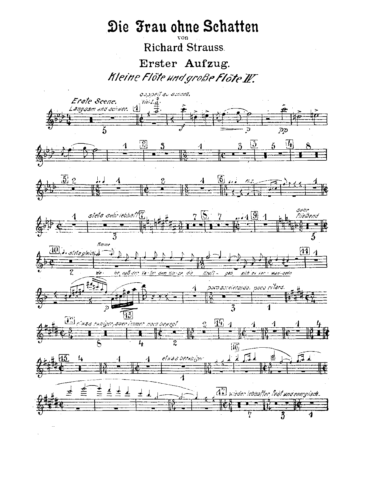 File:PMLP112606-Strauss Die Frau Ohne Schatten Op.65 Flute 4, Piccolo.pdf