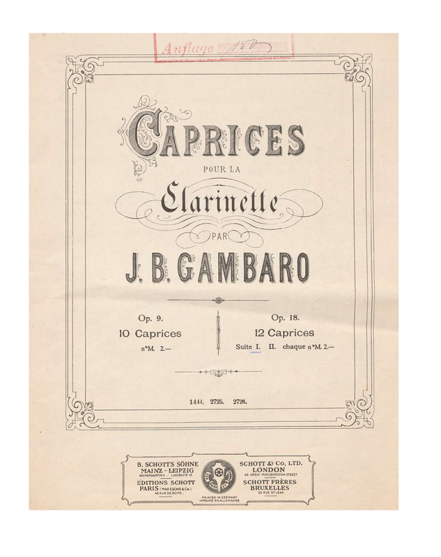 File:PMLP1116063-Gam 1878 vol1.pdf