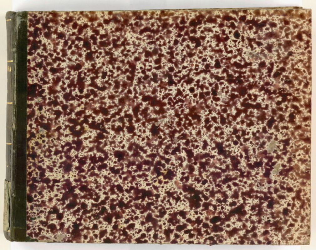 File:PMLP778262--Rari 1.3.15- I finti nobili.pdf