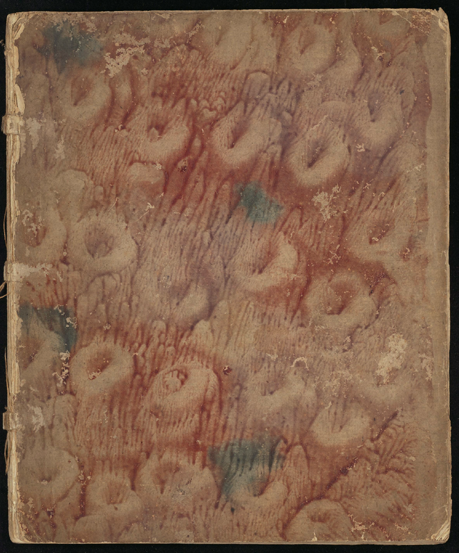 File:PMLP836612-BV10-2036.pdf