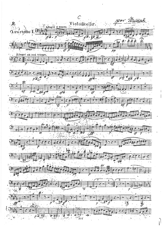 File:PMLP442303-Violoncello.pdf