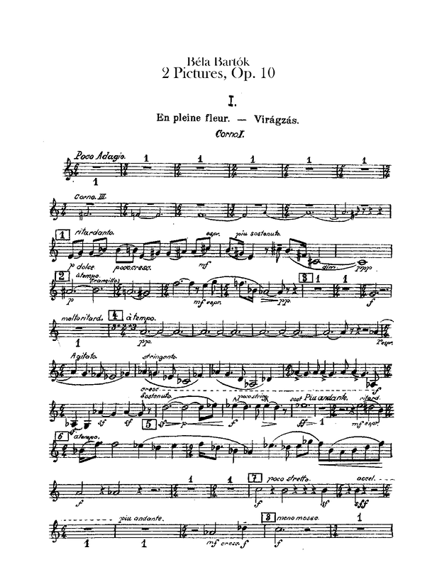 File:PMLP46185-Bartok 2Pictures Hns.pdf