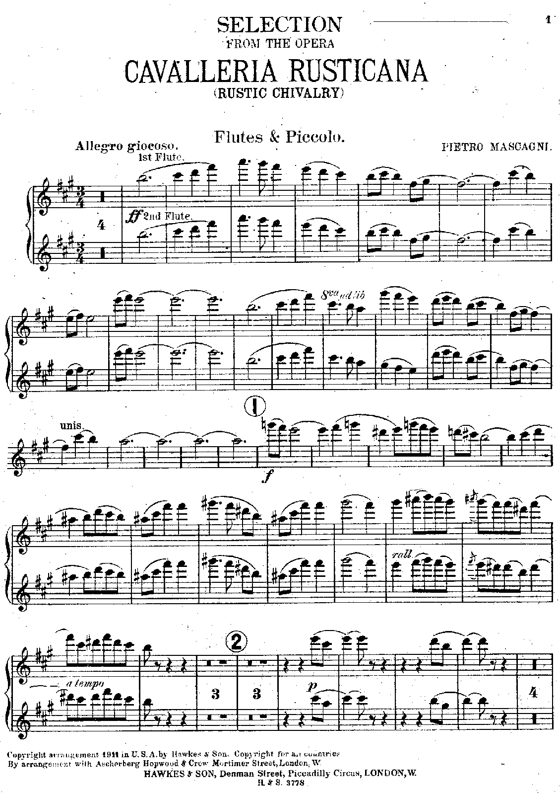 File:PMLP46160-Flutes.pdf