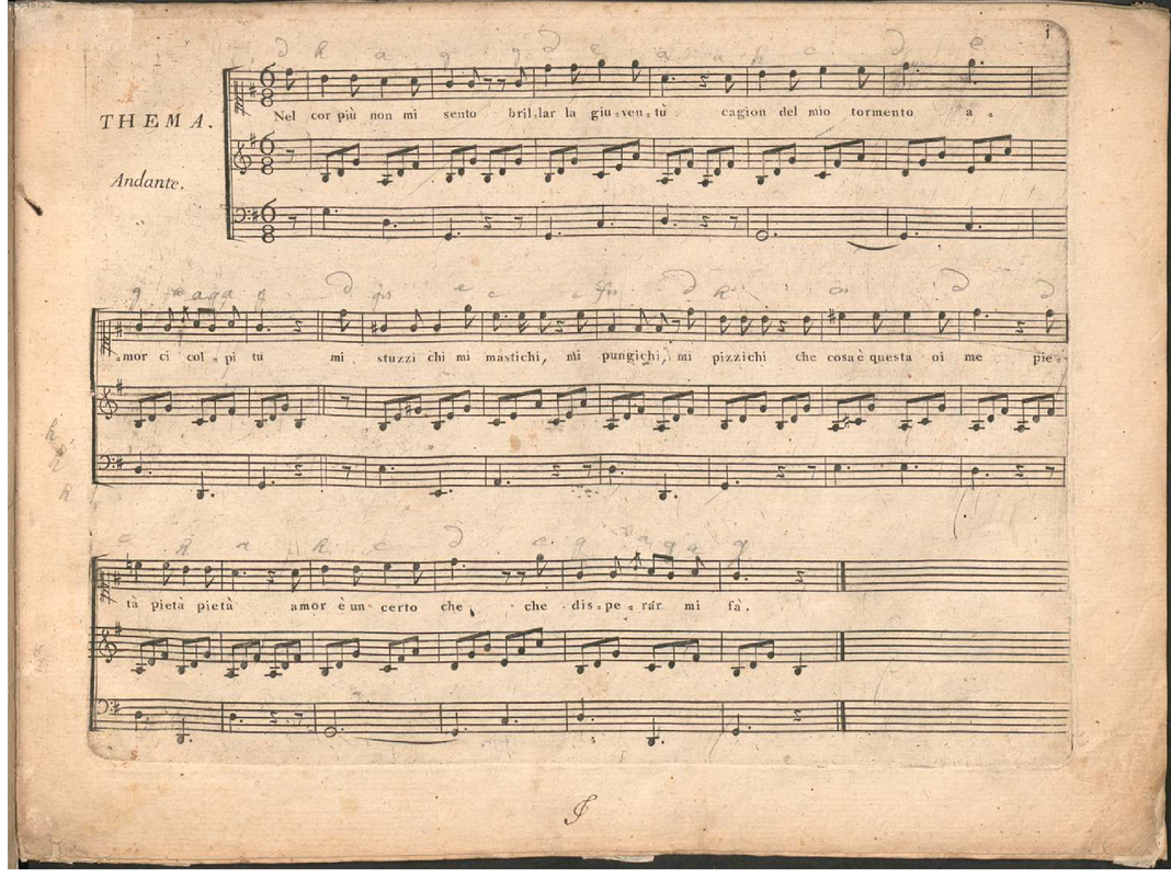 12 Variations on 'Nel cor piu non mi sento'