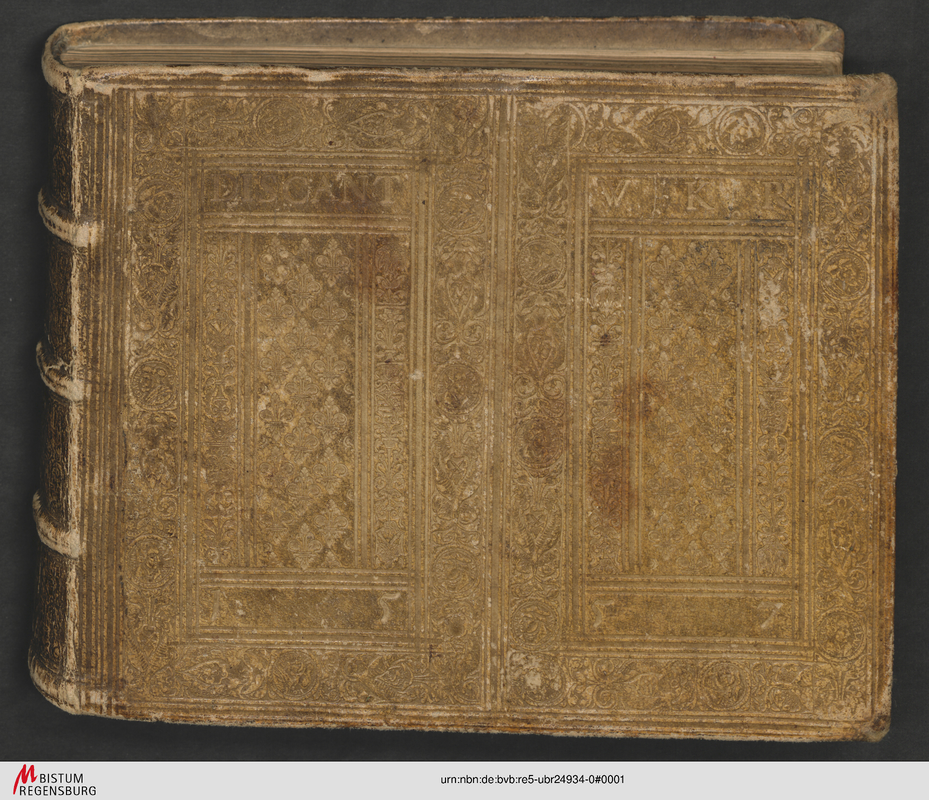 File:PMLP1296558-Discantus-01.pdf